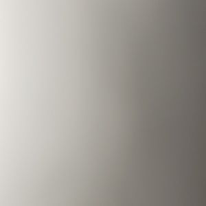 Meet your Posher, Leonel